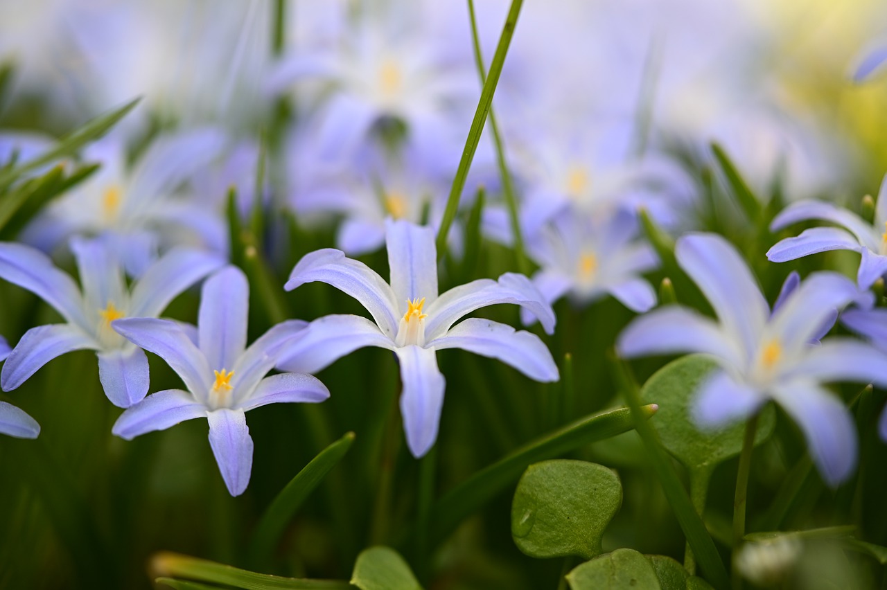 Vær stolt af dig selv (meditation)